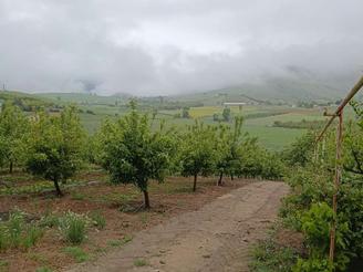 3000 متر خونهباغی
