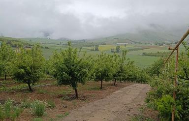 خونهباغی