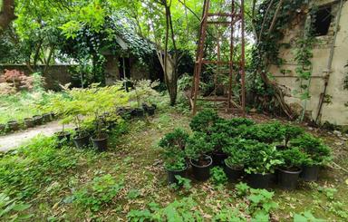 زمین مسکونی کاسبی