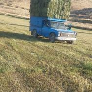 فروش یونجه درجه1