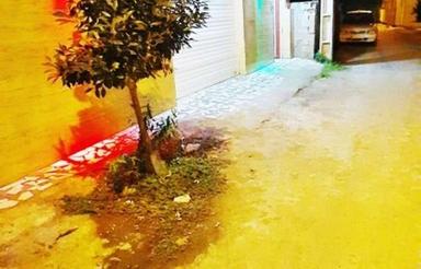 اجاره ویلا نوساز روزانه بابلسر