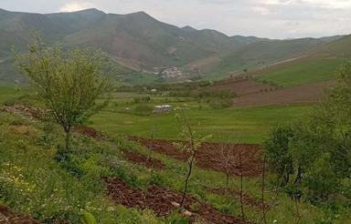 زمین خام مناسب خانه باغ