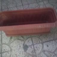 گلدان و زیر گلدانی