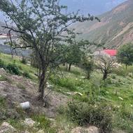 فروش زمین مسکونی 150 متر در واسکس
