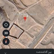 اجاره جهت نگه داری زنبور عسل