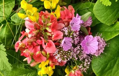 قطعه ی200متری بغل مدرسه