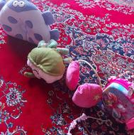 لباس در حدنو