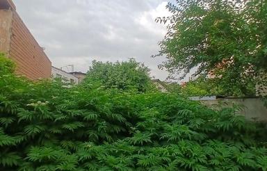 فروش زمین 180 متری با سرمایه گذاری خیابان کفشگرکلا
