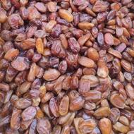 خرمای بدون هسته و تازه کلی و جزئی