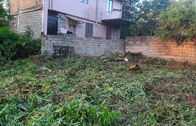 زمین باغی به مساحت 918متر