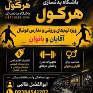 همکاری با تمامی رشته های ورزشی