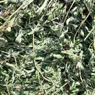 یونجه خالص بدون علف هرز بشرط چین سوم1200 پرس