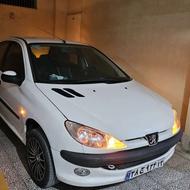 206 خونگی تمیز اتوماتیک
