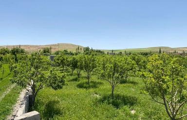 950 متر در قوچان