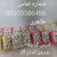 خرید و فروش سیر های وازدی و درجه یک