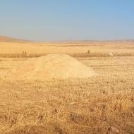 کاه نرم وریز