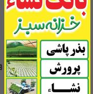 بانک نشا خزانه سبز ویژه کشت دوم با بهترین کیفیت