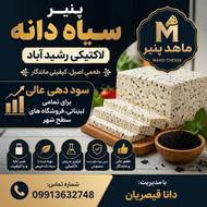 پنیر لاکتیکی درجه یک