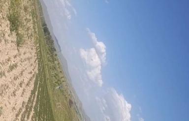 فروش زمین باغی