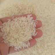 برنج فجر درجه یک سوزنی