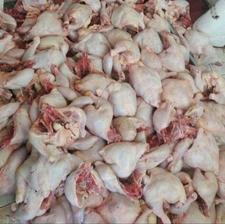 فروش تلفاد پاک شده غذا سگ و گربه