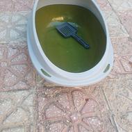 وسایل گربه و سگ خانگی