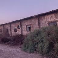 مرغداری گوشتی شراکت