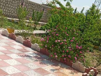 باغ در باغ معروف 520