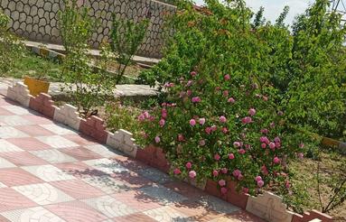 باغ در باغ معروف 520