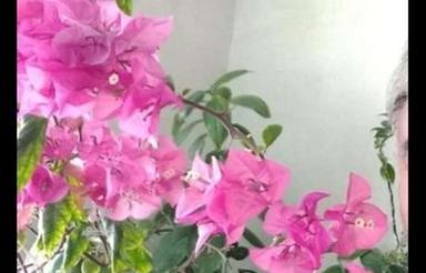 مغازه فوق بغل ایرانسل حلالی بانک تجارت
