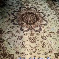 فرش دیبای مشهد