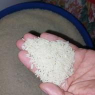 برنج طارم هاشمی درجه1.خالص کشت اول خوش عطروطعم و خوش پخت
