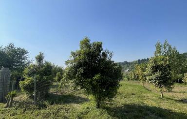200 متر زمین بعد از روستای تنگه لته ساری ،روستای سانخیل .