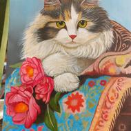 فروش تابلو نقاشی رنگ روغن گربه 30×40