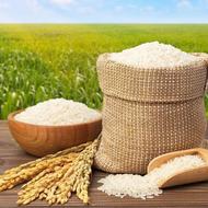 برنج هاشمی اصل گیلان