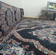 فروش فرش 6متری