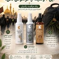 پک همراه زائر اربعین