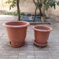 گلدان بزرگ پلاستیکی قطر 55 و 40