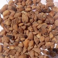 گیاه سالمه (ثعلب)