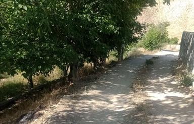 فروش 1500 متر کلی یا تفکیک
