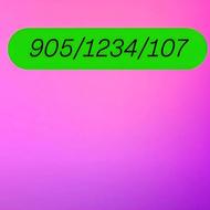 0905/1234/107