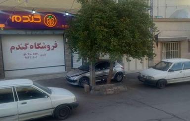 اجاره سوییت آپارتمان نوساز روزانه