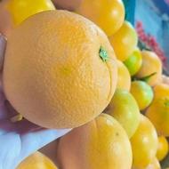 نیروی مرد در میوه فروشی