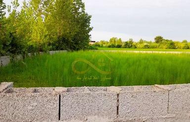 زمین مسکونی خوش نقشه 740 متر خشکبیجار (پارسه)