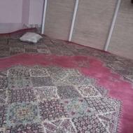همخونه میشم . خونه ندارم. پیام بفرستی زود جواب میدم فوری