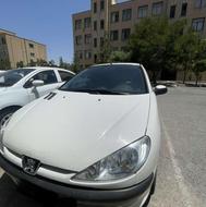 206 تر و تمیز خونگی