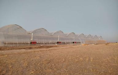 5500متر گلخانه سیفی جات واقع در روستای امامزاده قاسم روبروی