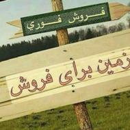 زمین قوخ جلوتر ازمسجد جامع خیابان چنارستان 3 موقعیت شمالی