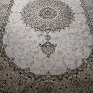 قالیشویی ممتاز گلگز