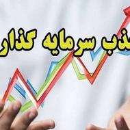 جذب سرمایه گذار